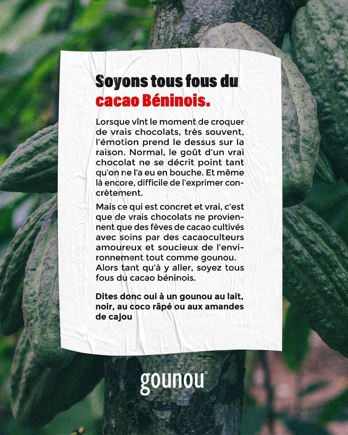 Gounou Fièrement : campagne Gounou